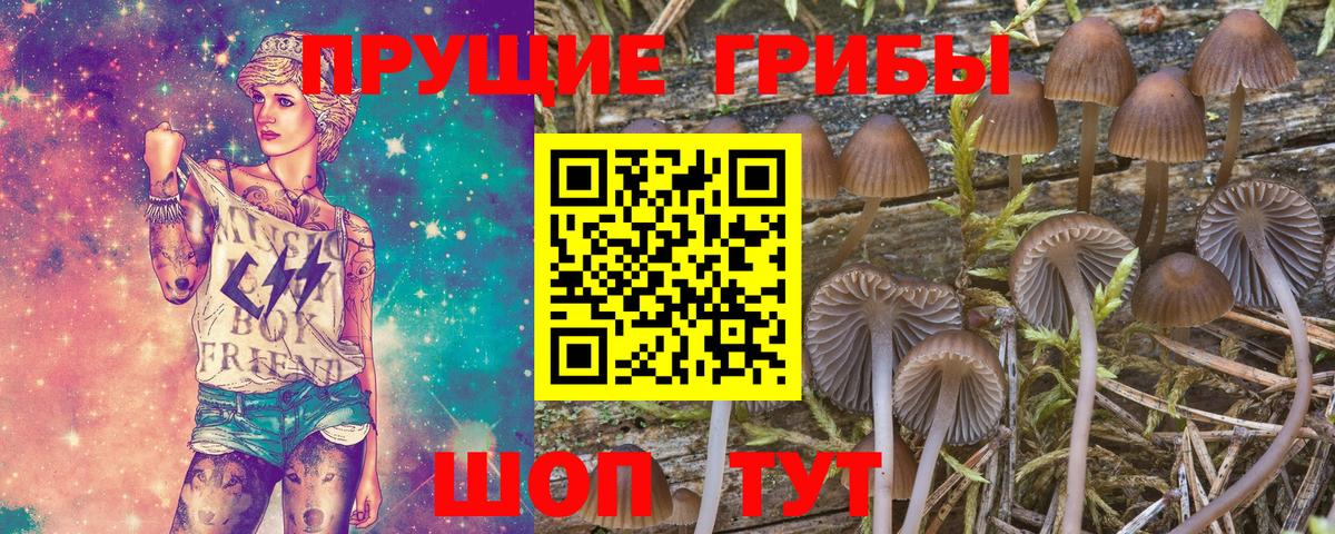 Галлюциногенные грибы GOLDEN TEACHER  Галлюциногенные грибы MAGIC MUSHROOMS  Вход с VPN  Лянтор 